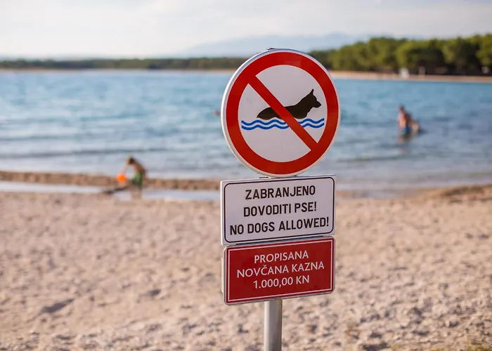 Vigi - Ii * بوفليانا